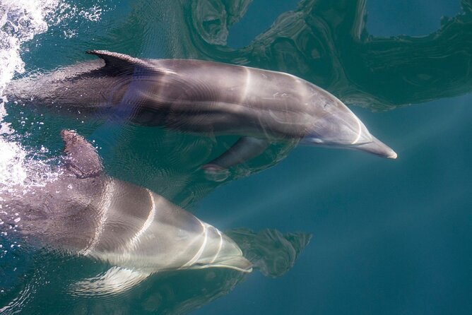 Milford Sound Extended Cruise with Southern Discoveries - Weather and packing: make the day easier on yourself