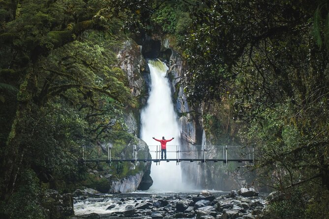Milford Sound Nature Cruise and Self-Guided Scenic Track Walk - Key things I’d plan for