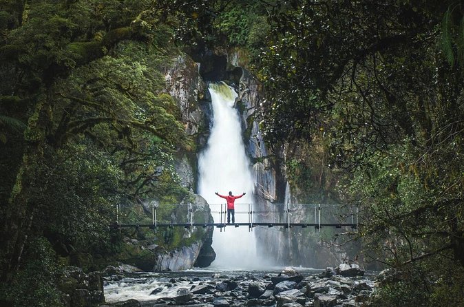 Milford Sound Nature Cruise and Self-Guided Scenic Track Walk - Timing, total duration, and how to avoid stress