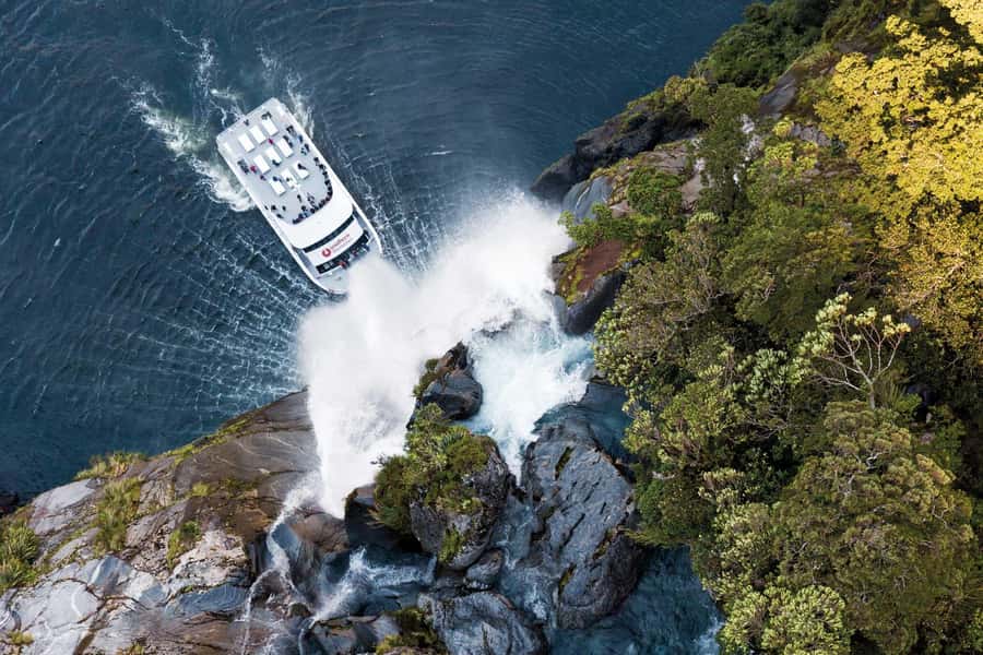 Milford Sound: Nature Cruise - Grand Views & Optional Lunch - Key things to know before you go