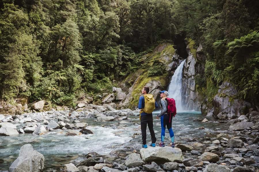 Milford Sound: Nature Cruise & Milford Track Walk - Commentary in Multiple Languages: Use the App, Bring Headphones