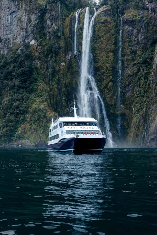 Milford Sound: Nature Cruise on a Modern Catamaran - The Wildlife Game Plan: Seals, Dolphins, and a Penguin Chance