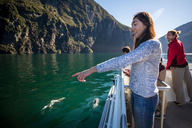 Milford Sound Nature Cruise with Southern Discoveries - Key Things to Know Before You Go