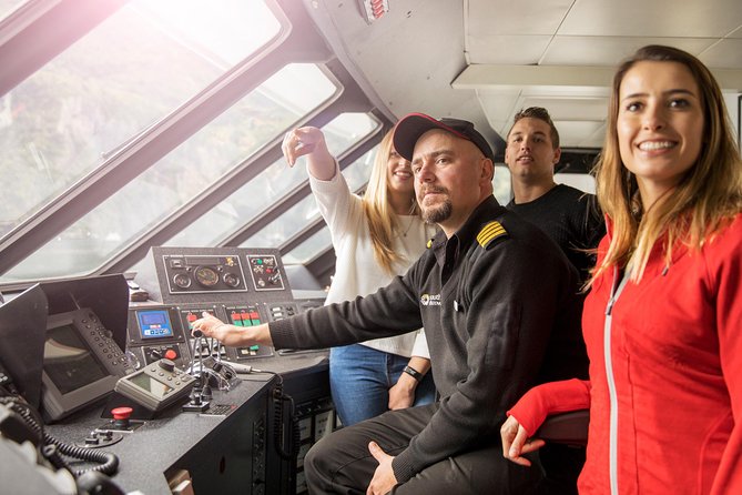 Milford Sound Nature Cruise with Southern Discoveries - Wildlife Chances: Penguins, Seals, and Dolphins With Realistic Expectations