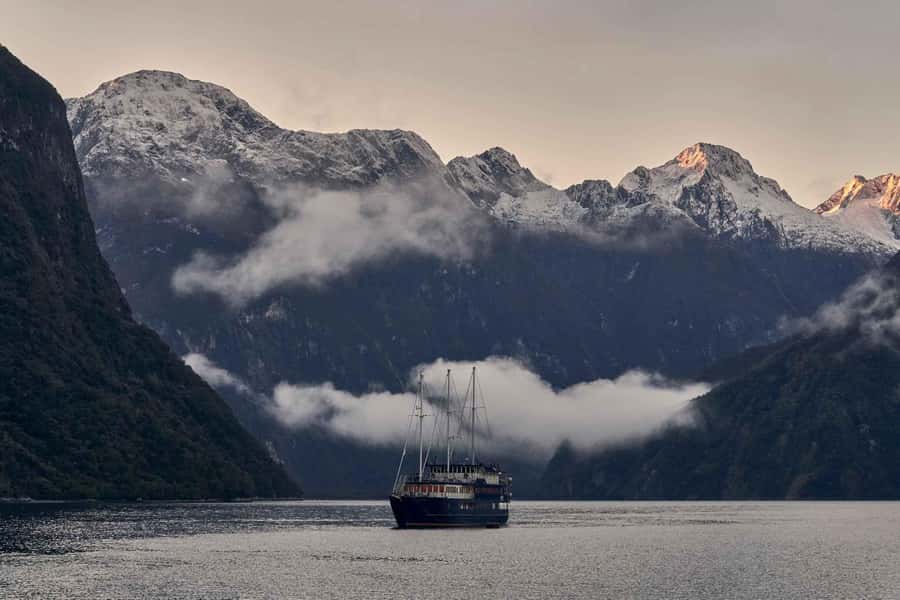 Milford Sound: Overnight Cruise with Water Activities - Key things you’ll notice on this Milford Sound overnight