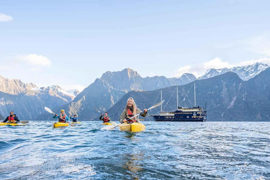 Milford Sound: Overnight Cruise with Water Activities - Wildlife spotting with a nature guide: seals, dolphins, and penguins
