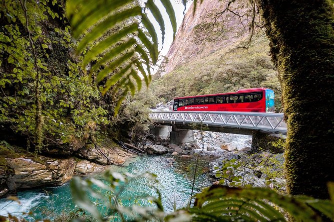 Milford Sound Premium Coach and Cruise with Lunch from Te Anau - Who this tour suits best, and who might want a different plan