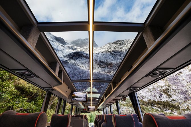 Milford Sound Premium Coach & Cruise from Queenstown with Lunch - The value of paying to not drive Milford Road