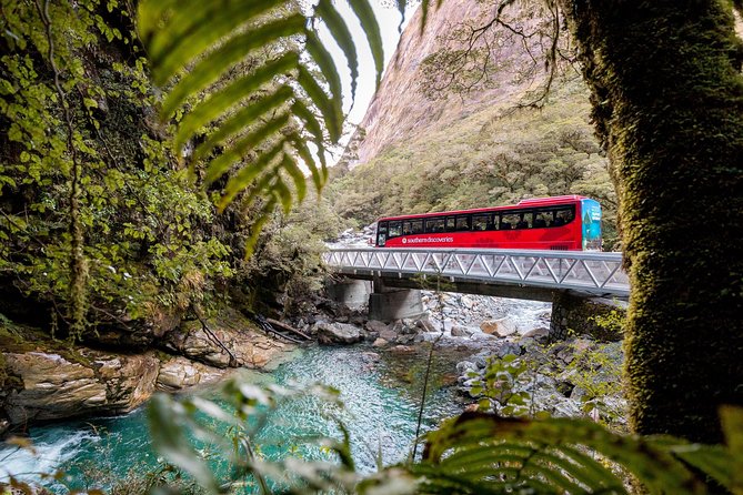 Milford Sound Premium Coach & Cruise from Queenstown with Lunch - Milford Sound cruise: waterfalls, wildlife, and real time on the water