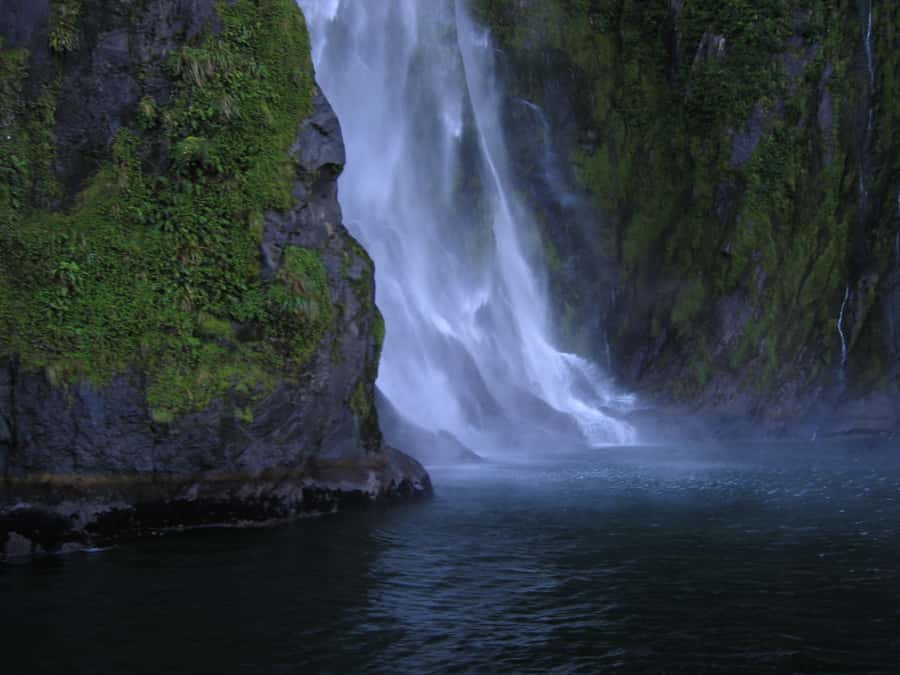 Milford Sound Premium Day Tour and Cruise from Te Anau - Why This Milford Sound Tour Works So Well From Te Anau