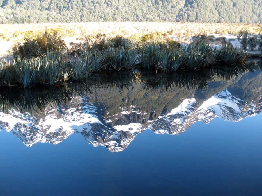 Milford Sound Premium Day Tour and Cruise from Te Anau - Food and Drinks on Board: What’s Included, What to Buy