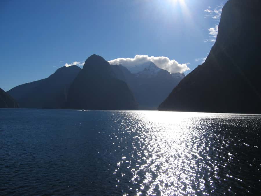 Milford Sound Premium Day Tour and Cruise from Te Anau - Weather Reality: When It’s Wet, You Still Win