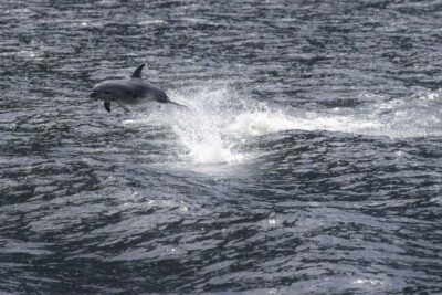 Premium Small Group Cruise with Canape Lunch