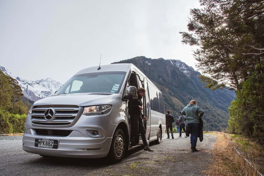 Milford Sound: Premium Small Group Tour from Queenstown - Comfort and small annoyances: what to expect from the van and timing