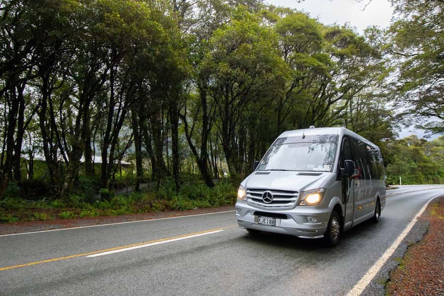 Milford Sound: Premium Small Group Tour from Queenstown - Te Anau and the pace reset before Fiordland National Park