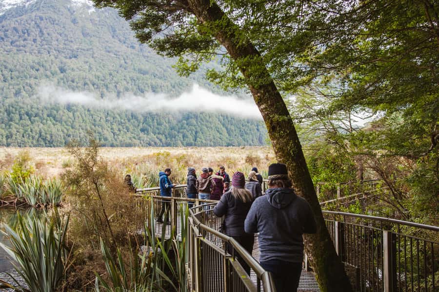 Milford Sound: Premium Small Group Tour from Queenstown - Milford Sound nature cruise: how to enjoy the fjord without rushing
