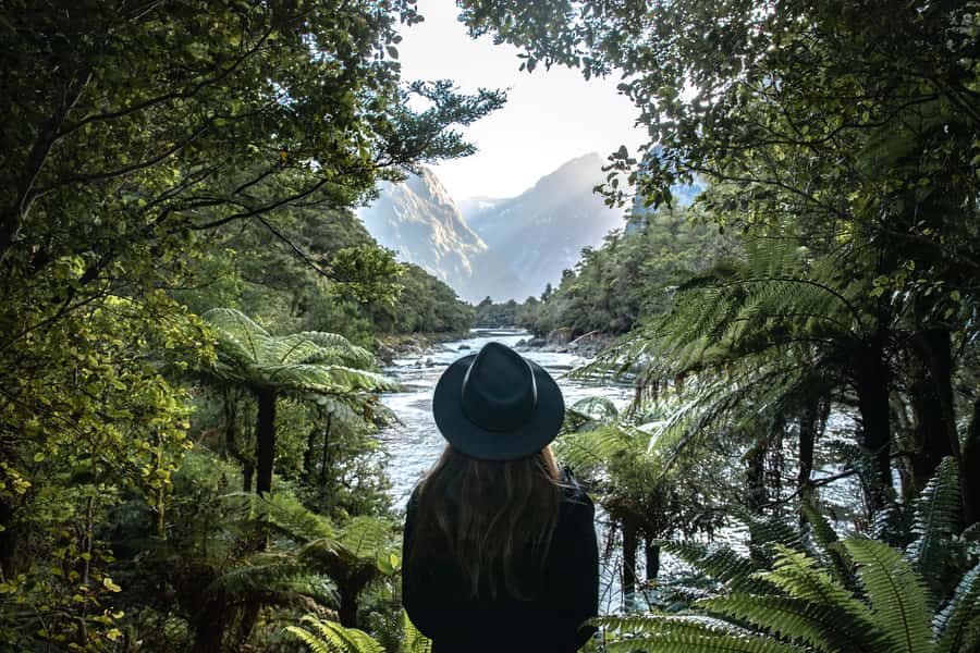 Milford Sound: Self-Guided Milford Track Day Walk - Milford Track, but with self-guided breathing room