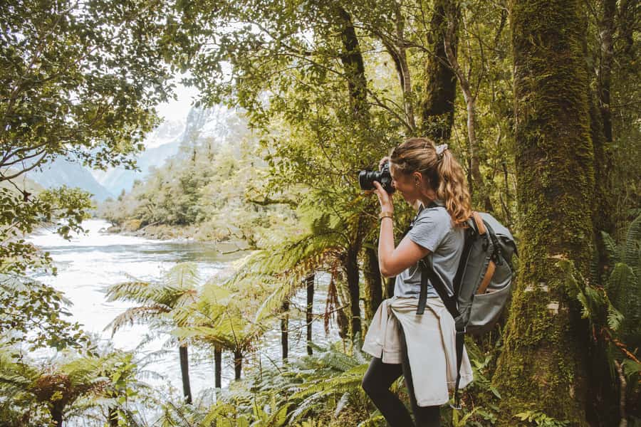 Milford Sound: Self-Guided Milford Track Day Walk - Pairing this with a Milford Sound cruise, without turning your day into math