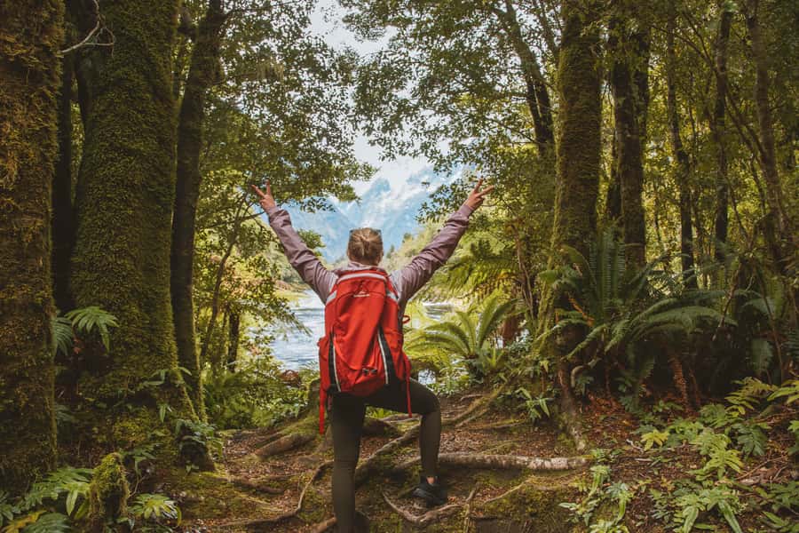 Milford Sound: Self-Guided Milford Track Day Walk - What to bring for comfort, and the sandfly reality check