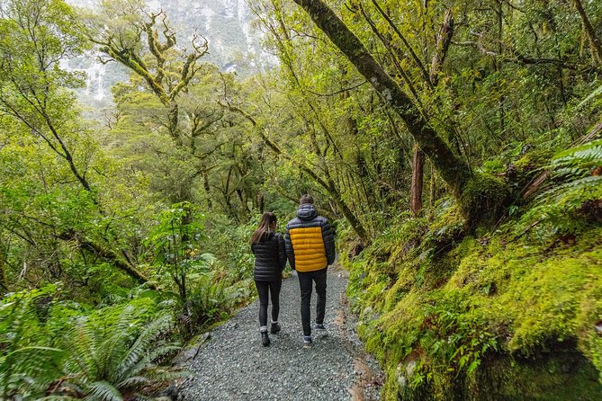 Milford Sound Small Group Tour from Queenstown with Scenic Flight - Price and value: what you are paying for on a $557.90 ticket