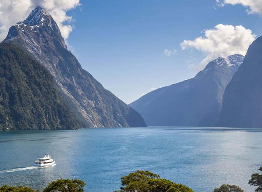 Milford Sound: Small-Group Tour from Te Anau - Milford Sound Cruise: Wildlife, Waterfalls, and Up-Close Views