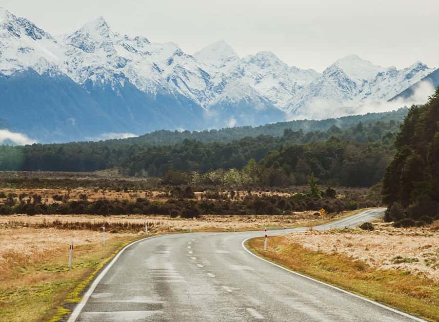 Milford Sound: Small-Group Tour from Te Anau - Live Commentary on Fiord Geology: Why It Feels Like More Than Scenery