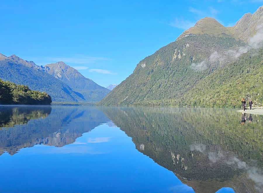 Milford Sound: Small-Group Tour from Te Anau - Milford Road Stops: Time for Photos Without Feeling Rushed