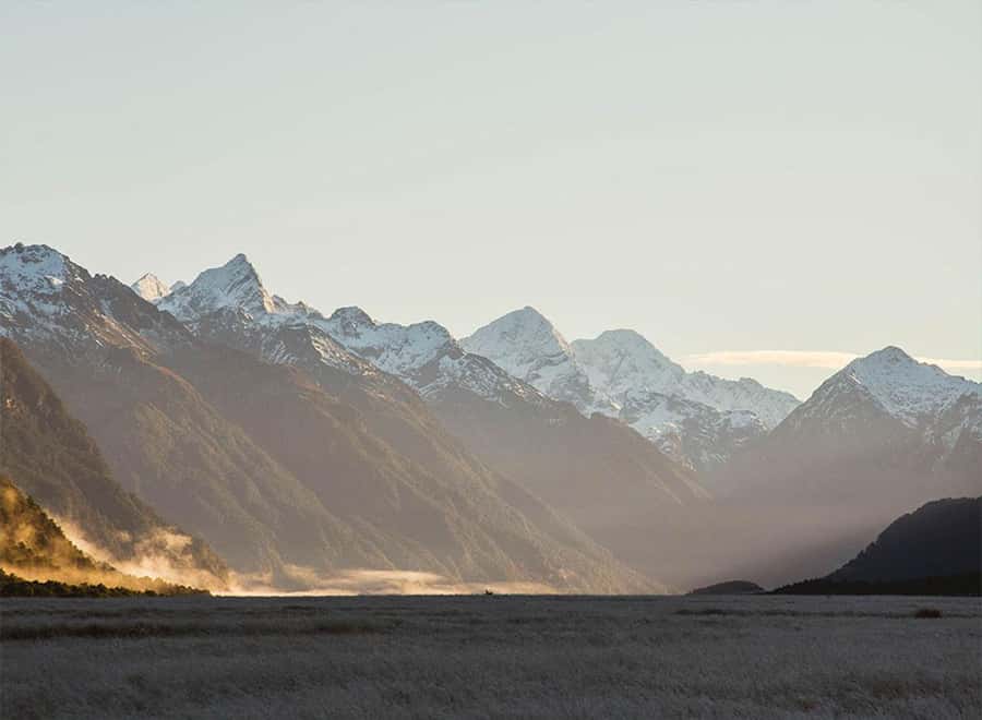 Milford Sound: Small-Group Tour from Te Anau - Who This Milford Sound Tour Suits Best