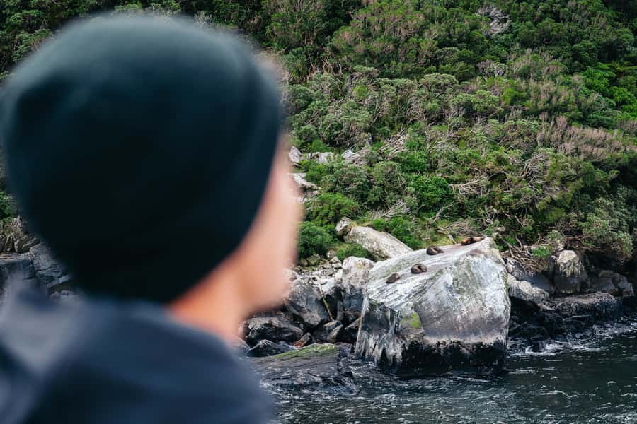 Milford Sound: Waterfalls, Wildlife, and Rainforest Cruise - Duration and pacing: why 105 minutes works here