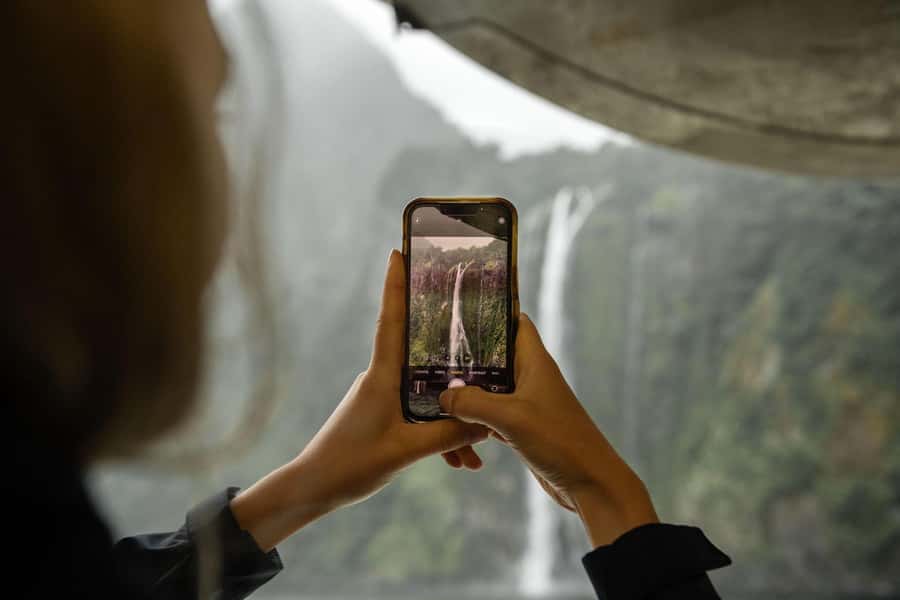 Milford Sound: Wildlife & Nature Cruises - Key highlights to know before you go