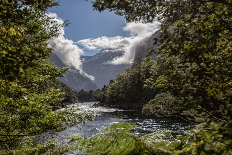 Milford Track: Full Day Guided Hike and Nature Cruise - Key things to notice before you go