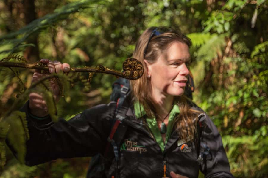 Milford Track: Full Day Guided Hike and Nature Cruise - The Milford Track walk to Giant’s Gate and Lake Ada