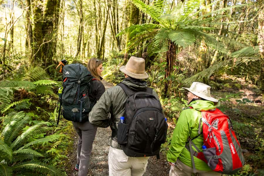 Milford Track: Full Day Guided Hike and Nature Cruise - What the $215 price covers, and where you spend extra