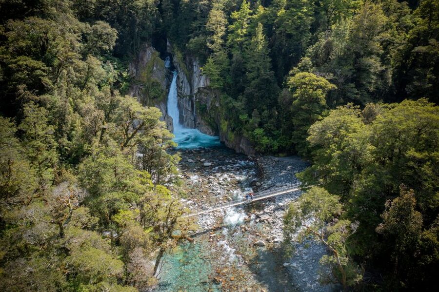 Milford Track: Full Day Guided Hike and Nature Cruise - Who this Milford Day fits (and who should skip it)