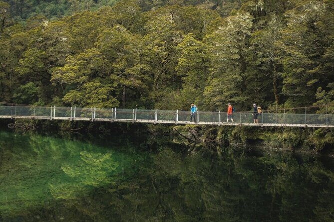 Milford Track Multi-Night Hike - Water Taxi Transport - Pricing and Value: What $152.04 Really Buys