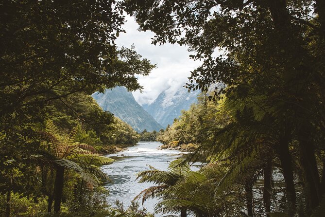 Milford Track Multi-Night Hike - Water Taxi Transport - Who This Milford Track Water Taxi Is Best For