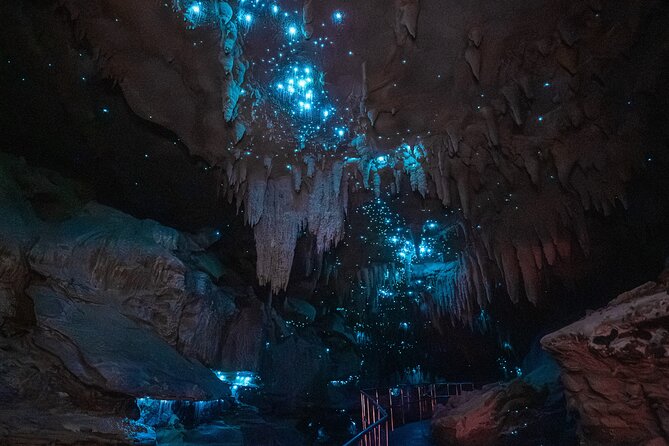 Milky Way Glowworm Cave Tour - Getting to Milky Way Glowworm Cave: what the walk and 30 steps mean in real life