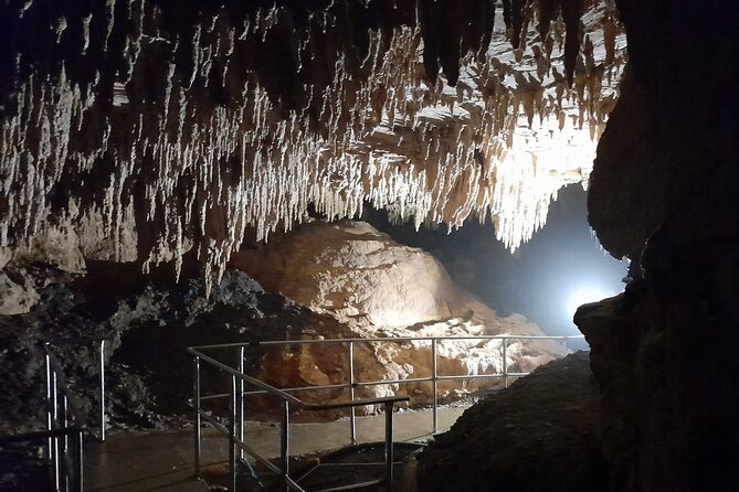 Milky Way Glowworm Cave Tour - Glowworms 101, told in plain language while you watch them