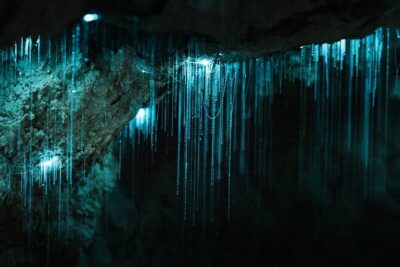 Milky Way Glowworm Cave Tour