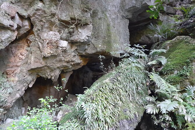 Milky Way Glowworm Cave Tour - Who this Milky Way Glowworm Cave tour fits best