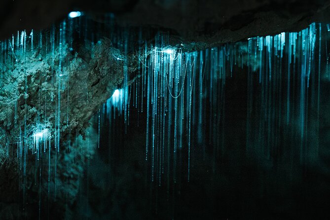 Milky Way Glowworm Cave Tour - Your guided hour: how the experience flows inside the cave
