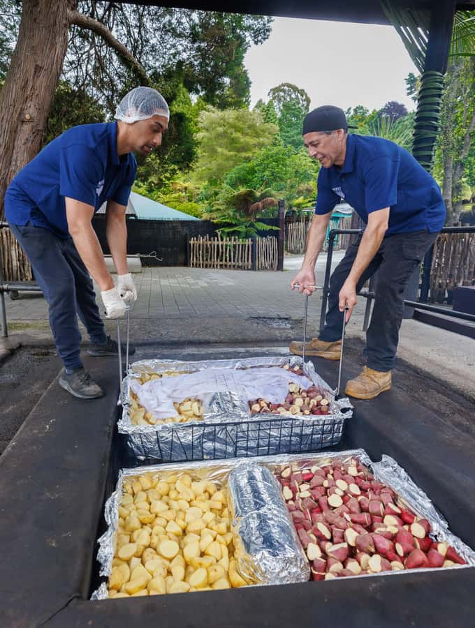 Mitai Maori Village: Cultural Experience and Dinner Buffet - Price and Value: What $101 Buys for a 3-Hour Evening
