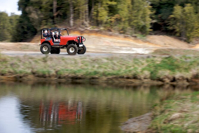 Monster 4X4 Thrill Ride at Off Road NZ - The Truck Experience: Roll Cage, Harness, and All-Wheel Control