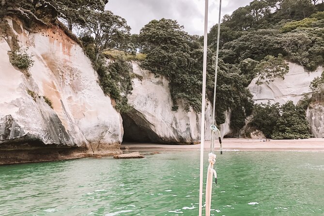 Morning Glory Chilled out Sail (3.5hrs) - Stop 1: The Cathedral Cove walk, plus that close-up archway view