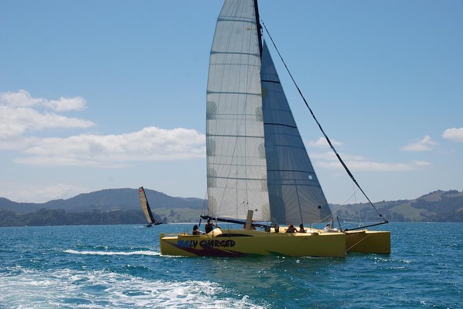 Morning Glory Chilled out Sail (3.5hrs) - What onboard comfort looks like in real life