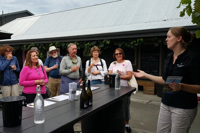 Morning Guided with Afternoon Self-Guided Biking Wine Tour - The guided tastings: three stops, and one guide who keeps it clear