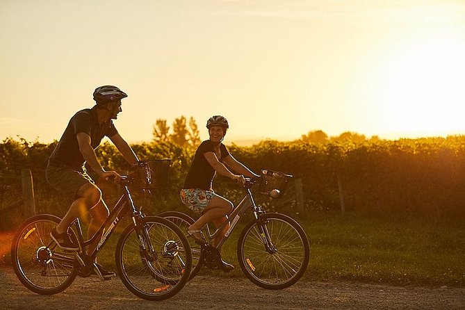 Morning Guided with Afternoon Self-Guided Biking Wine Tour - No lunch included: plan for energy so the day stays fun
