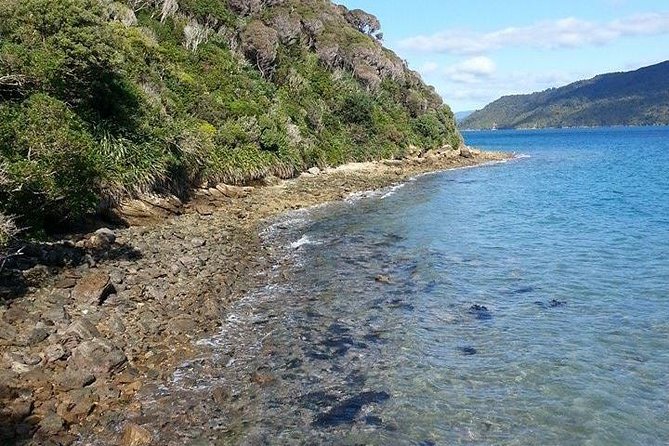 Motuara Island Bird Sanctuary and Ship Cove Cruise from Picton - The Ship Cove (Meretoto) stop: Captain Cook country in one sheltered visit