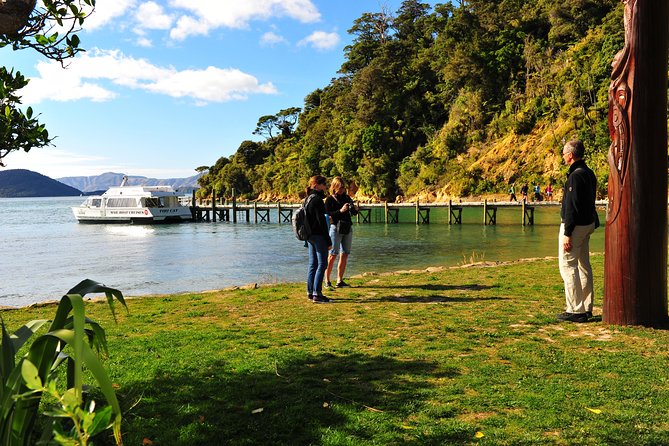 Motuara Island Bird Sanctuary and Ship Cove Cruise from Picton - Comfort and essentials: shoes, toilets, food, and the keep-cup idea