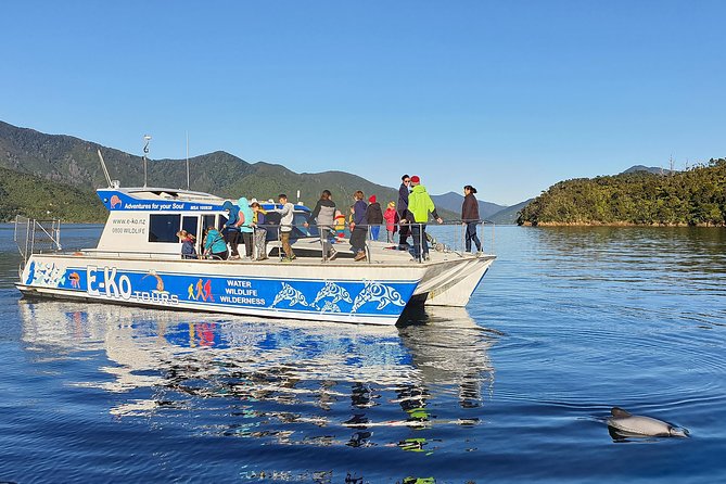 Motuara Wildlife Sanctuary Tour and Dolphin Cruise from Picton - The 4-Hour Marlborough Sounds Cruise: How the Wildlife Hunt Works